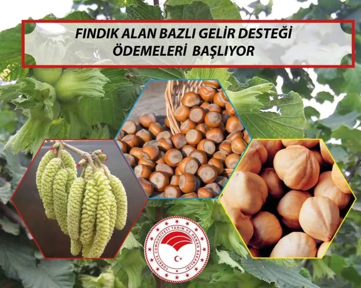 Destekler 18 Nisan’da Hesaplara Geçecek