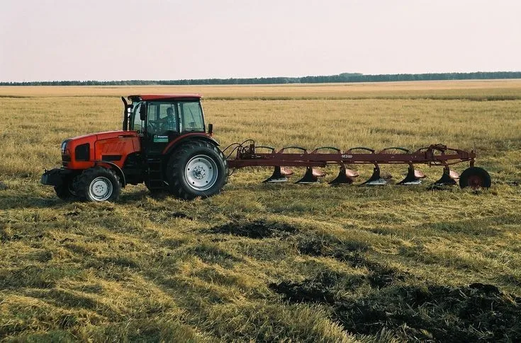 İzinsiz Tarla İşgali